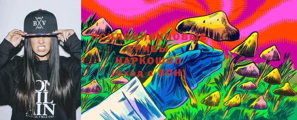 гашик Абинск
