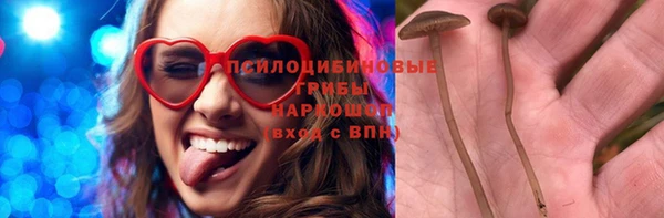 гашик Абинск