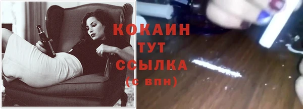гашик Абинск