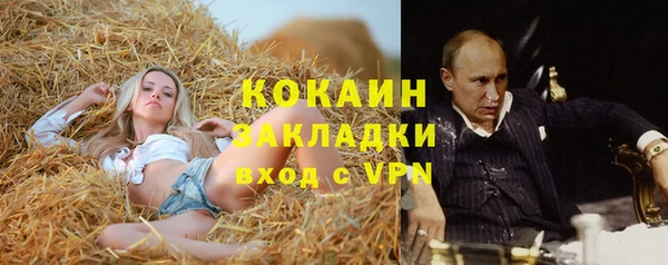 гашик Абинск